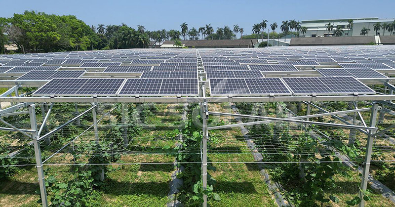 Exploring the ideal size of a solar farm: the latest perspective in 2024